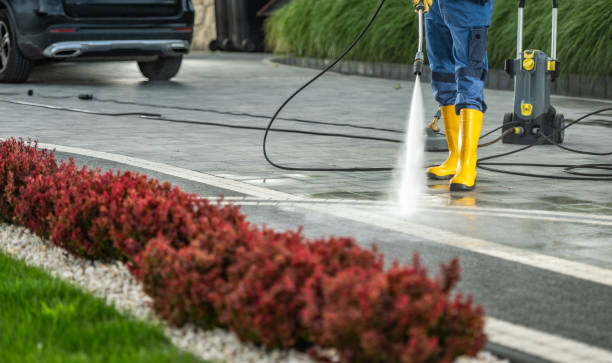 Best Warehouse Cleaning  in Val Verde Park, TX